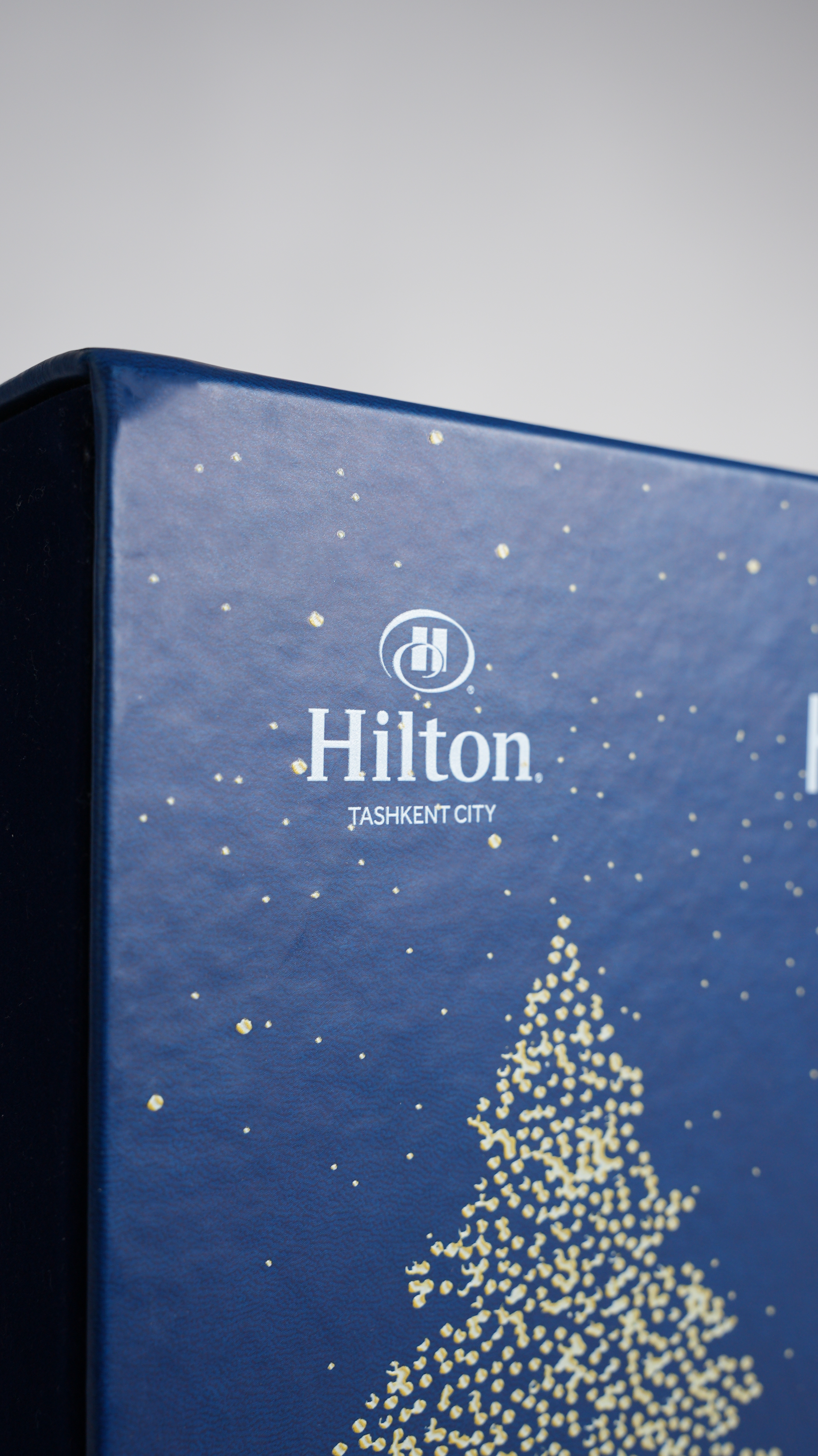 Hilton